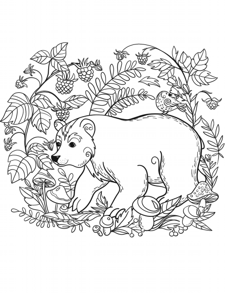 Bear coloring page image