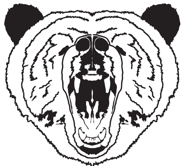 Bear Head coloring page image