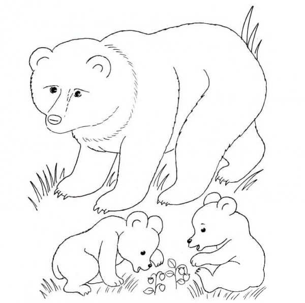 Bear Mother And Bear Cubs coloring page image