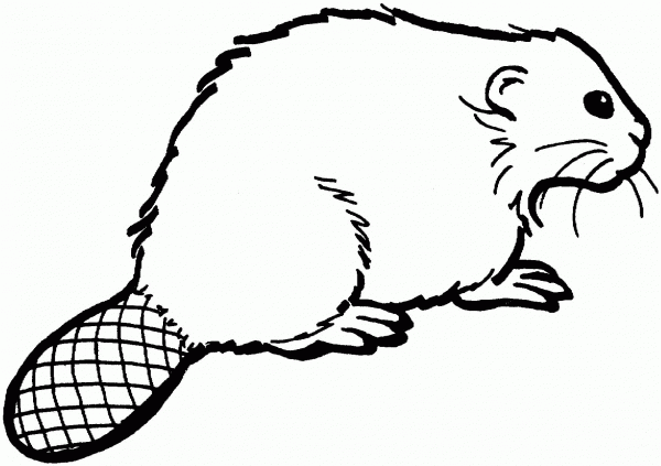 Beaver 11 coloring page image