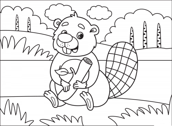 Beaver coloring page image