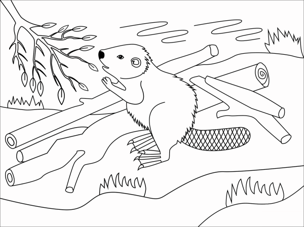Beaver coloring page image