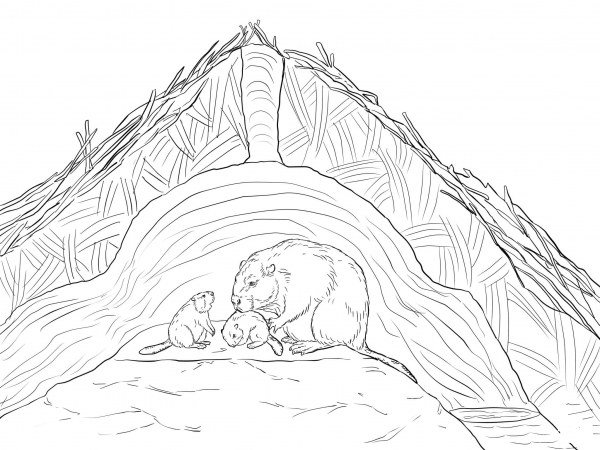 Beaver Lodge coloring page image