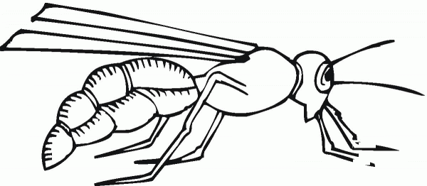 Bee coloring page image