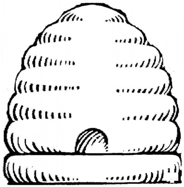 Bee House  coloring page image
