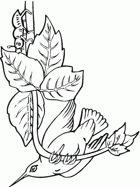 Bee Hummingbird coloring page image