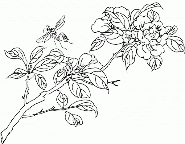 Bee On A Tree coloring page image