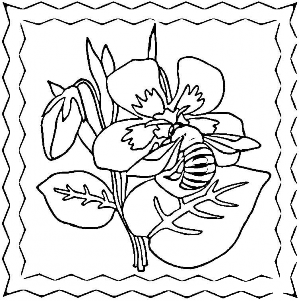 Bee on the Violets  coloring page image