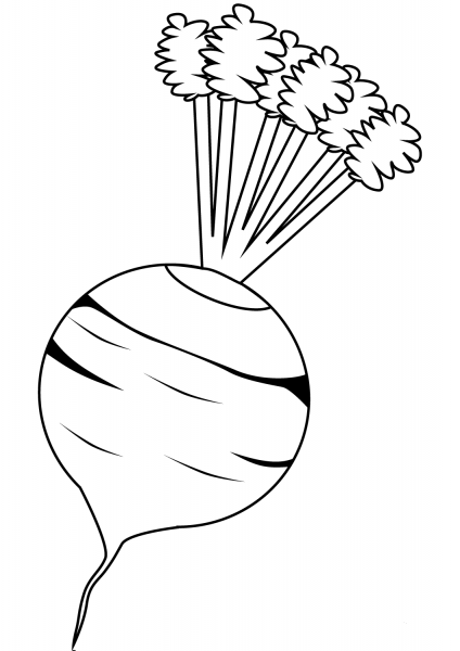 Beet coloring page image