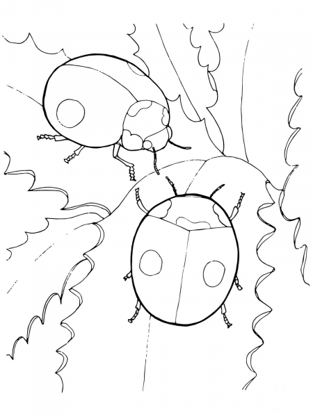 Two Ladybugs coloring page image