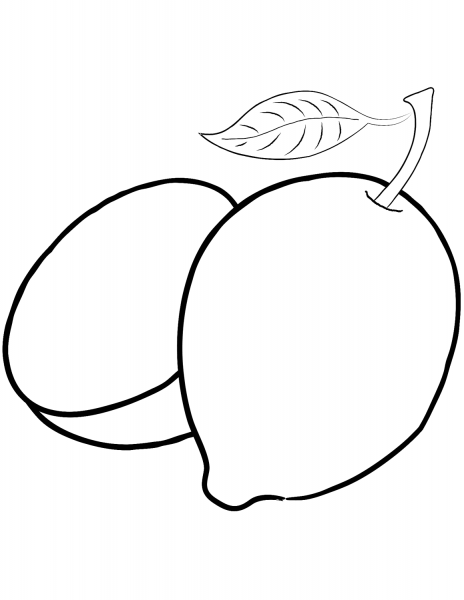 Two Lemons coloring page image
