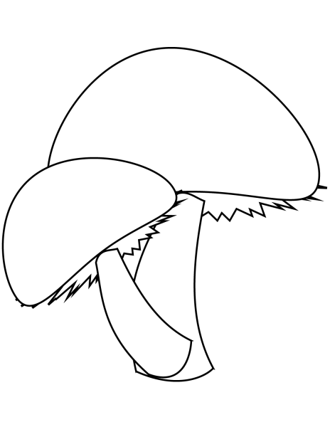 Two Mushrooms coloring page image