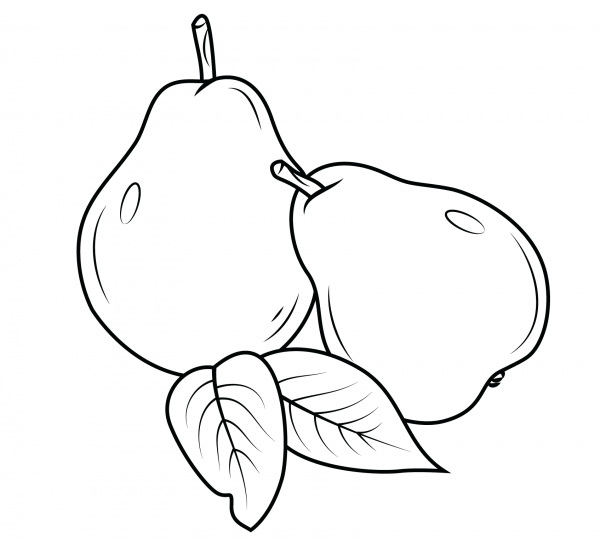 Two Pears coloring page image