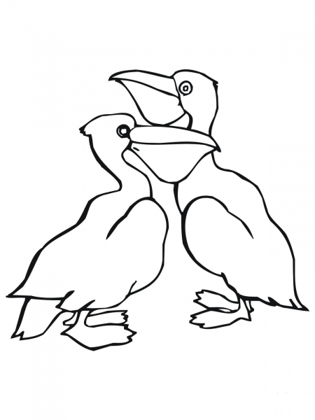 Two Pelicans coloring page image