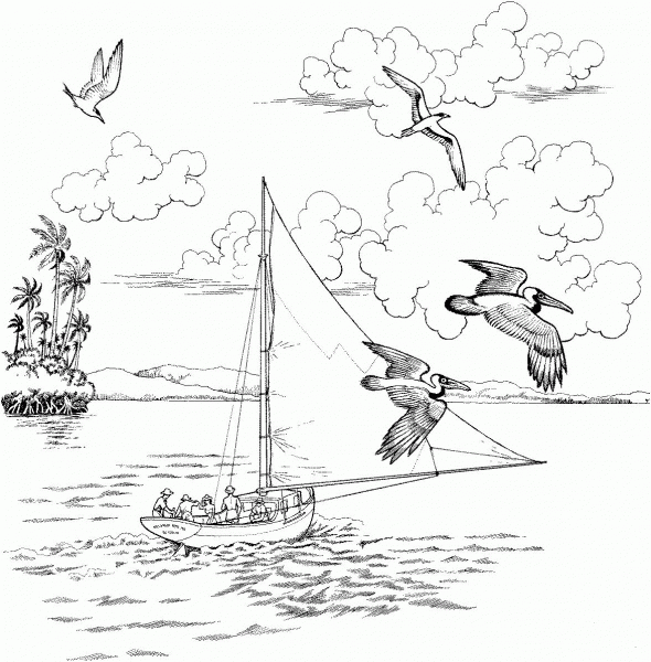 Two Pelicans Fly Over the Sailboat coloring page image