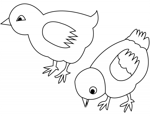Two Pigeons coloring page image