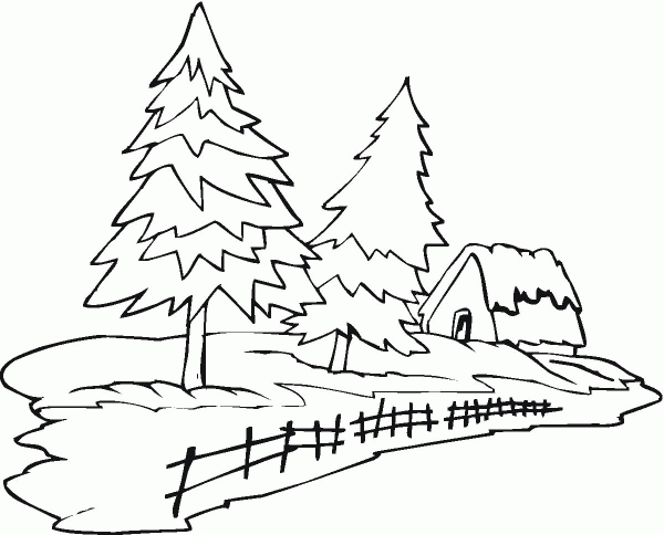 Two Pine Trees and a House coloring page image