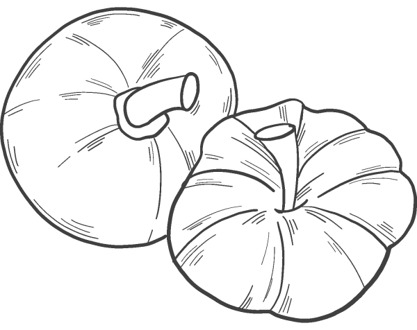 Two Pumpkins coloring page image