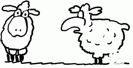 Two Sheeps Illustration coloring page image