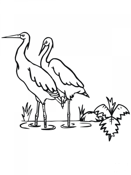 Two Storks coloring page image