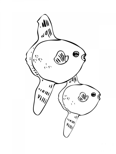 Two Sunfishes coloring page image
