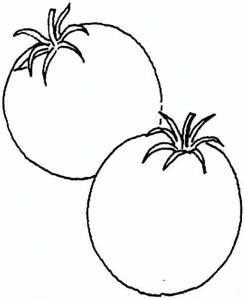 Two Tomatoes coloring page image