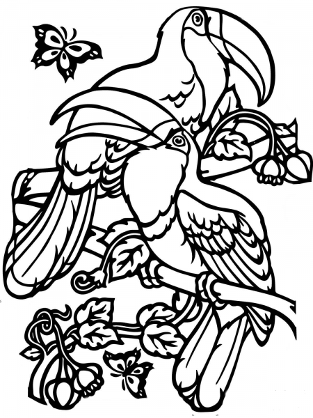 Two Toucans coloring page image