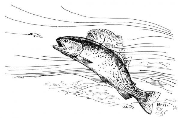 Two Trout coloring page image