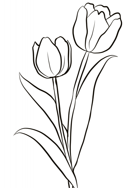 Two Tulips coloring page image