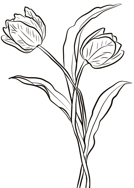 Two Tulips coloring page image
