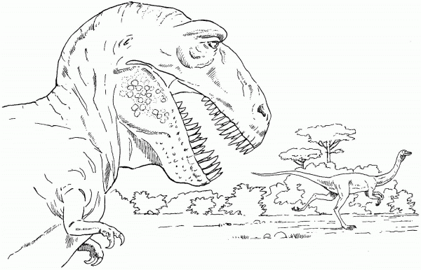 Tyrannosaurus and Rex coloring page image