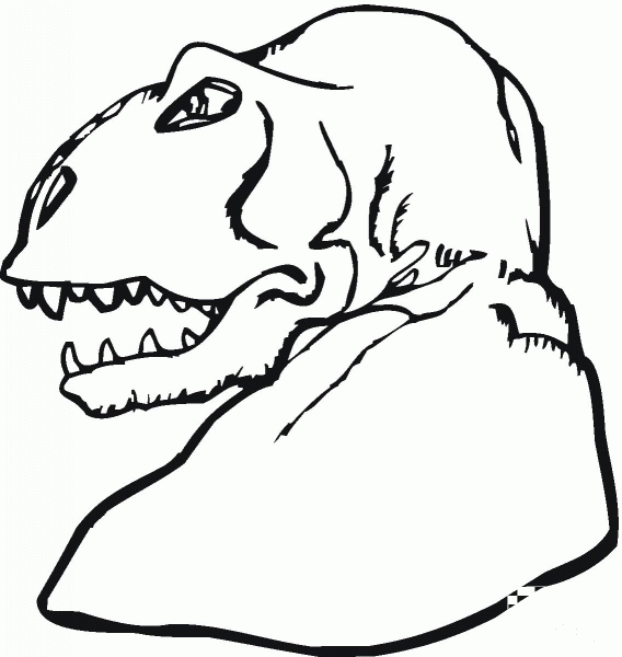 Tyrannosaurus Head coloring page image