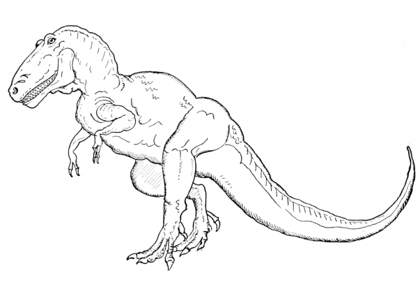 Tyrannosaurus Rex coloring page image