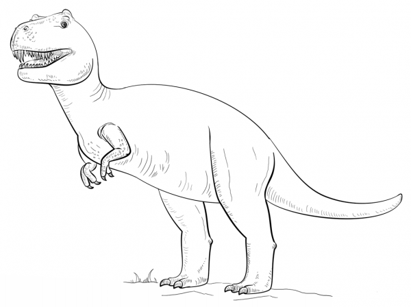 Tyranossaurus Rex coloring page image
