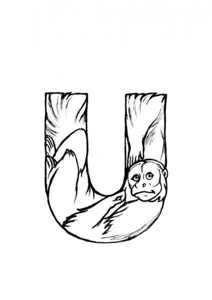 U is for Uakari coloring page image