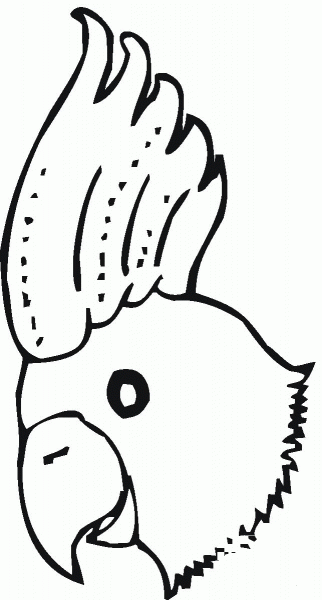 Umbrella Cockatoo Head coloring page image