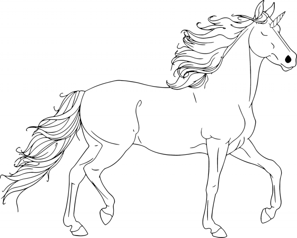 Unicorn coloring page image