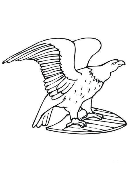 US Bald Eagle coloring page image