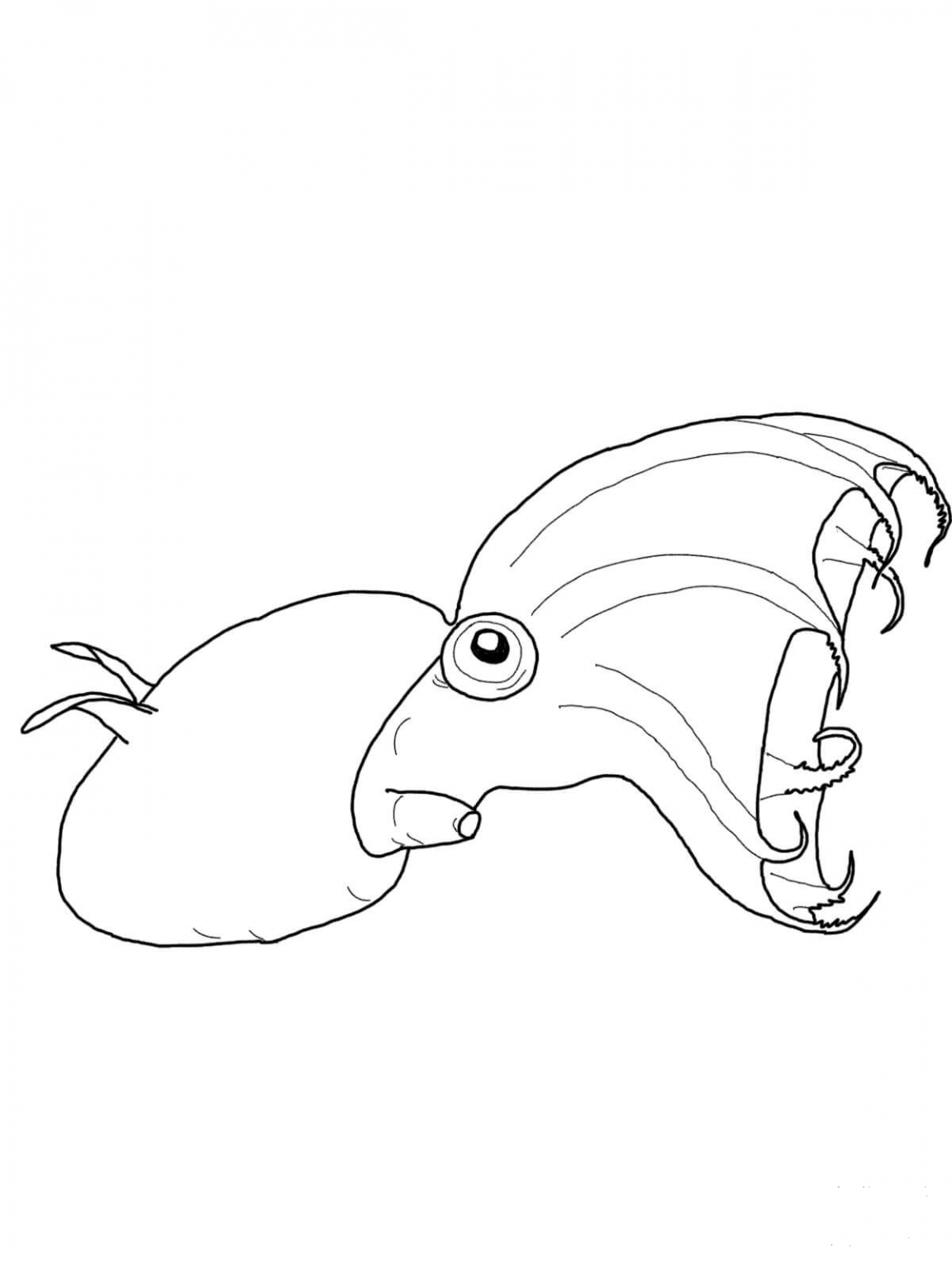 Vampire Fish Coloring In Vampire Squid coloring page - ColouringPages