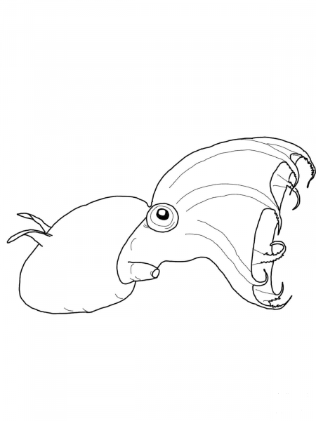 Vampire Squid coloring page image