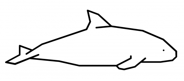Vaquita coloring page image