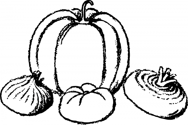 Vegetables coloring page image