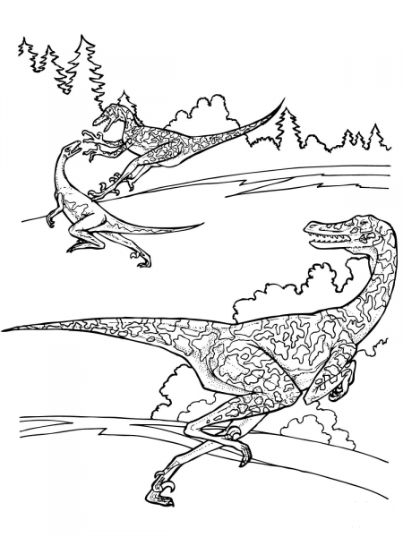 Velociraptor Dinosaurs coloring page image
