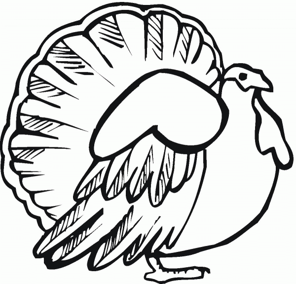 Very Important Turkey coloring page image
