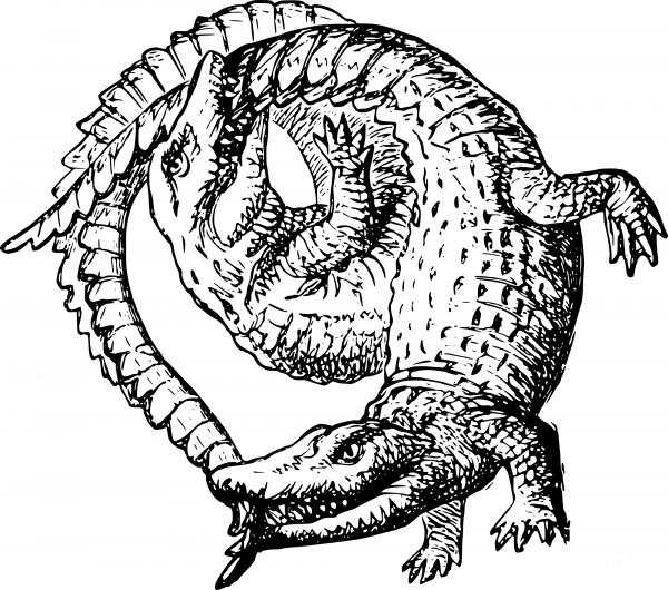 Vintage Alligators in a Circle coloring page image