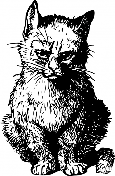 Vintage Angry Cat coloring page image