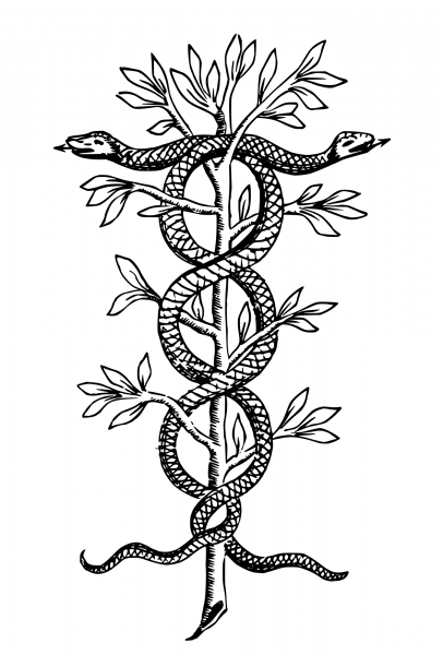 Vintage Antique Heroic Emblem Snakes coloring page image