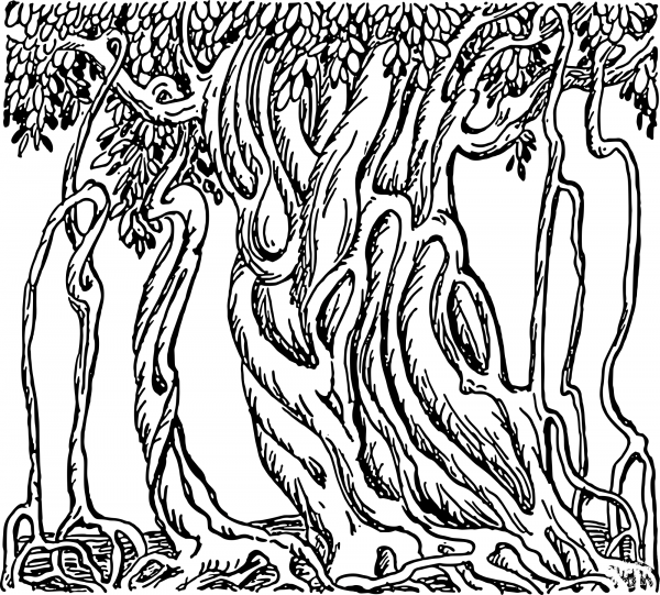 Vintage Banyan Tree coloring page image
