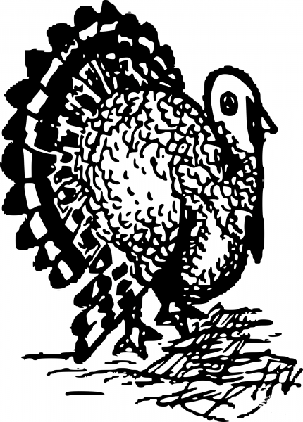 Vintage Basic Turkey Drawing coloring page image