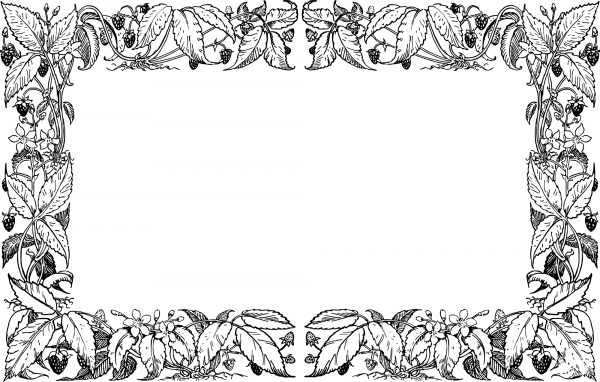 Vintage Berry Frame coloring page image